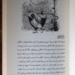 معرفی کتاب دلهره های خیابان وحید